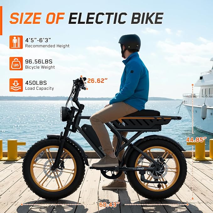 Electric Bike for Adults,1500W Peak Motor Retro E Bike,30MPH Max Speed,60/110 Miles Range,Removable 48V 15Ah Battery,20"x4.0"Fat Tire,Ebike with Suspension,UL 2849