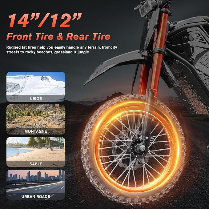 Electric Dirt Bike 3000W for Adults/Teens, 220Nm High-Torque Brushless Motor, 45° Slope Climbing, 38 MPH Off-Road Motorcycle with 48V 21Ah Removable Battery & Hydraulic Brakes