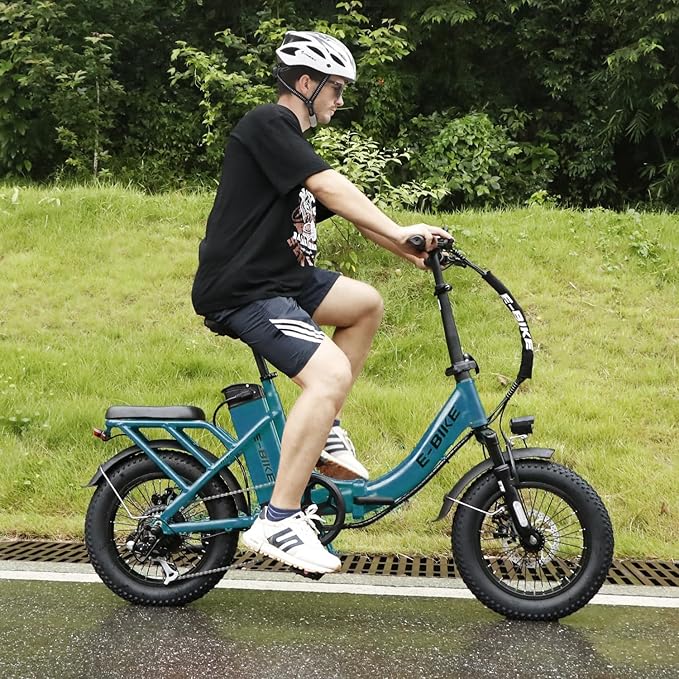 Electric Bike for Adults, 750W Long Range Foldable Ebike with One/Dual Removable Battery, 40-120 Mile/25-30MPH, 20"/16“ Fat Tire Electric Bicycle