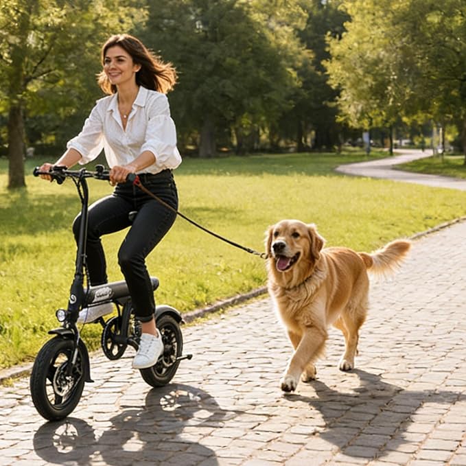 VARUN Electric Bike- Commuter Ebike for Adults 500W Peak Motor, 20 MPH Speed, Long-Range, Waterproof Battery & Chain, 14" Foldable Electric Bicycle with Dual Disc Brakes and Rear Suspension