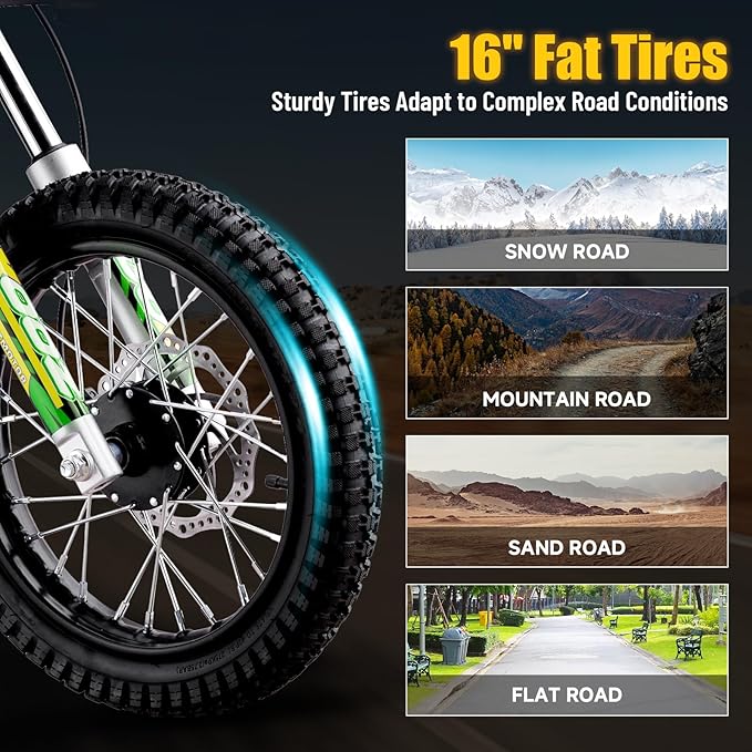 KOOZ HP112E PRO 36V 1000W Electric Dirt Bike for Kids, 3 Speed Modes Teen Electric Motorcycle Up to 20.6 MPH& 19 Miles Long-Range, Dual Suspension & Disc Brake, 16" Sturdy Tire