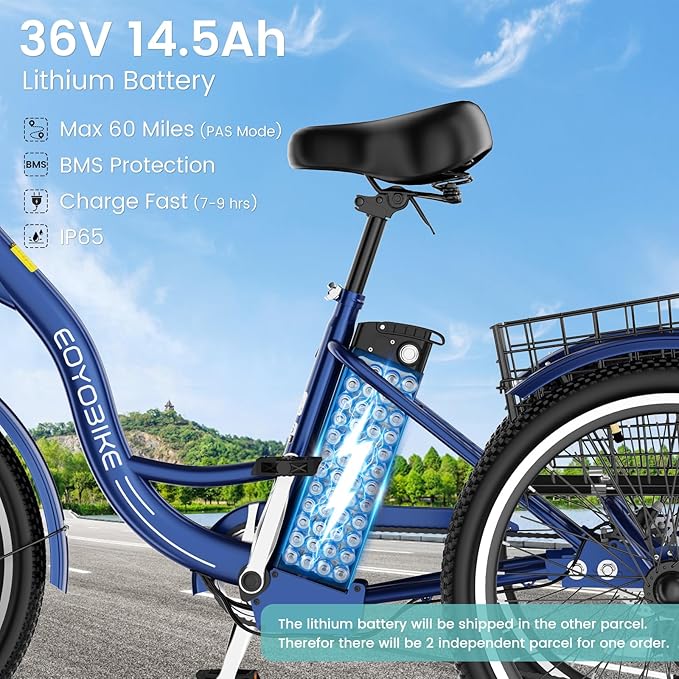 Electric Tricycle for Adults Seniors, 24/26 Inch 3 Wheel E-Trike, 350W Motor (700W Peak), Removable 36V Battery, Up to 15.5MPH, 25-60Mile Range, Low Step-Through, Rear Basket, 350lbs Capacity, 7 Speed