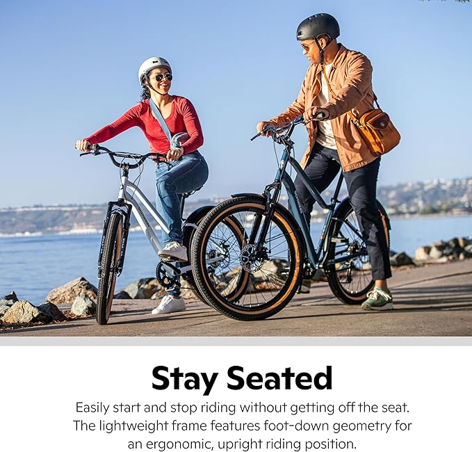 Schwinn Vega