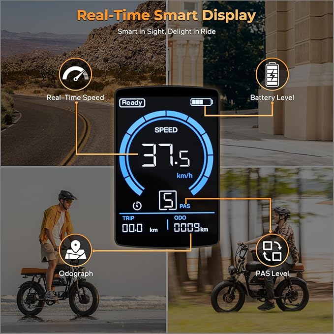 T73 Series Electric Bike for Adults,1000W/1500W/3000W Motor,30/33/37.5MPH 34-120 Miles,48V15.6/41.6 AH Electric Bikes,20 * 4 Fat Tire Ebike Hydraulic Brake Full Suspension Off-Road Riding