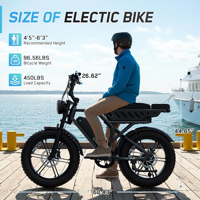 Electric Bike for Adults,1500W Peak Motor Retro E Bike,30MPH Max Speed,60/110 Miles Range,Removable 48V 15Ah Battery,20"x4.0"Fat Tire,Ebike with Suspension,UL 2849
