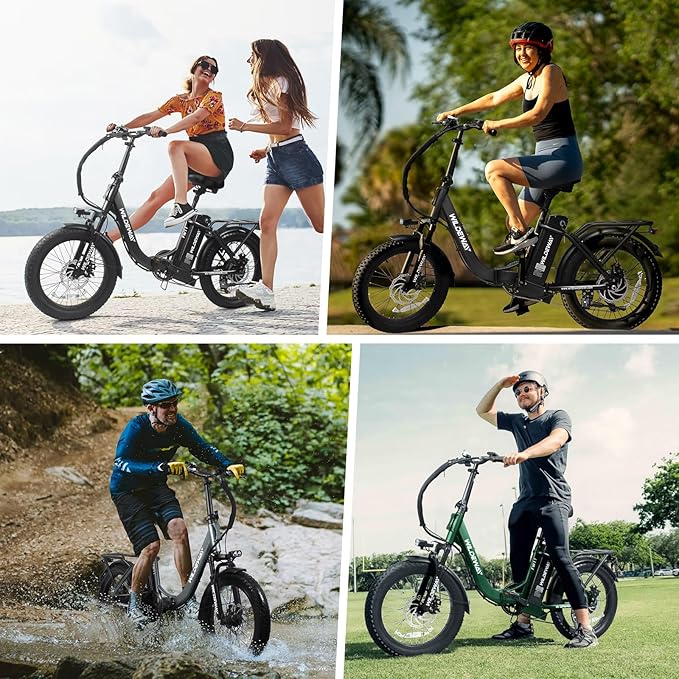 Wildeway Folding Electric Bike for Adults, FW11-Lite 750W Motor, 48V 15Ah Removable Battery, 20" x 3.0" Fat Tire E-Bike, 30MPH Top Speed, Step-Thru Frame, Foldable Ebike Commuter & Off-Road