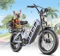 eAhora Juliet Pro 2 Electric Bike for Adult, Dual Motor | 5200W/1200W | 43/31 Mph | 70Ah/60Ah 200 Miles Long Range | 20" Fat Tire | for Commute | Delivery | Women