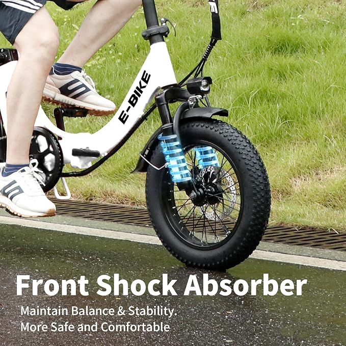 Electric Bike for Adults, 750W Long Range Foldable Ebike with One/Dual Removable Battery, 40-120 Mile/25-30MPH, 20"/16“ Fat Tire Electric Bicycle