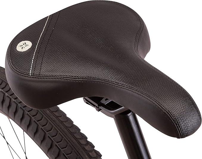 Schwinn Vega