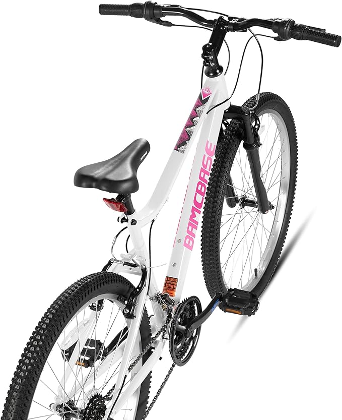 HILAND Adult 26 Inch Mountain Bike, Mens Womens Bicycle, High-Carbon Steel Frame Mountain Bicycle, Sport MTB for Adults, Multi-Color