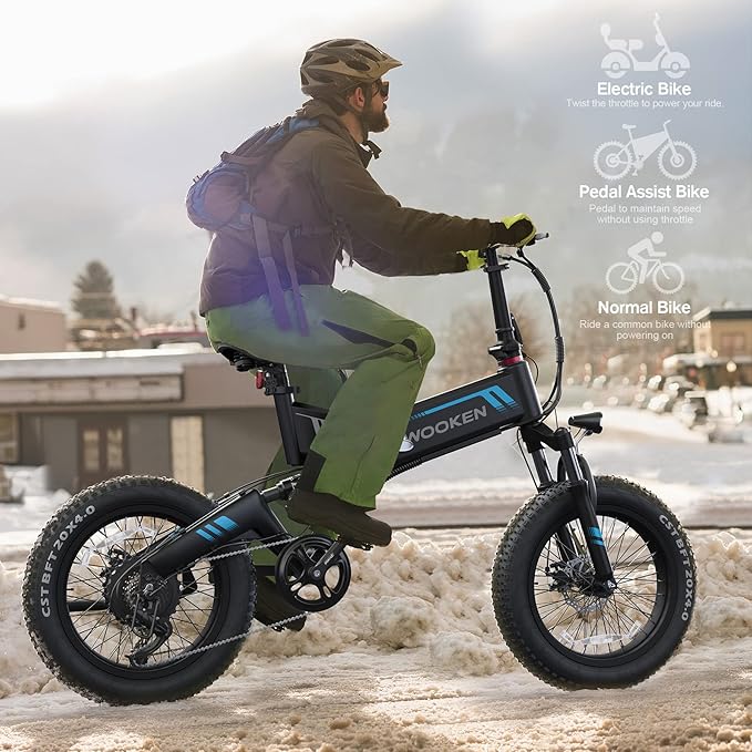 TotGuard Electric Bike,20" Electric Bike for Adults Peak 750W Brushless Motor,20MPH Fat Tire Ebike,Foldable Adult Electric Bicycles with 48V 10Ah Removable Battery,7-Speed,SGS Certified to UL 2849