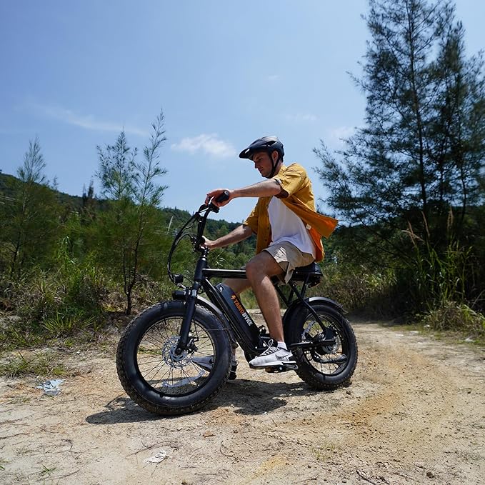 T63 Multi-Color Electric Bike for Adults & Teens, 1000W Peak Motor, 20MPH 468Wh Remove Battery,20"x4"Fat Tire Ebike, Moped Style Comfortable Electric Bikes,Long Seat E Bikes for All-Terrain