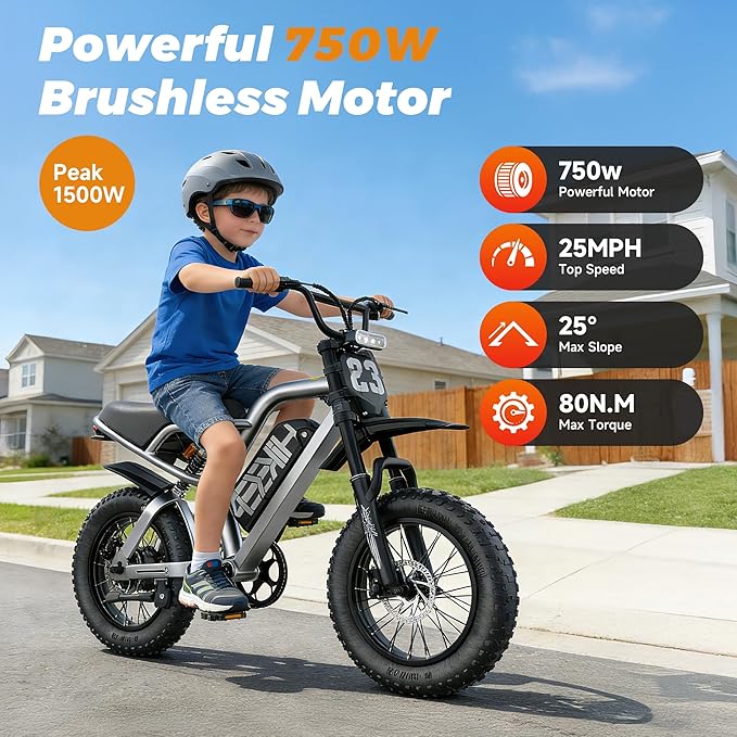 Fat Tire Electric Bike for Adults, UL2849 Certified 90% Pre-Assembled Folding E-Bike with Removable Battery & Cargo Rack