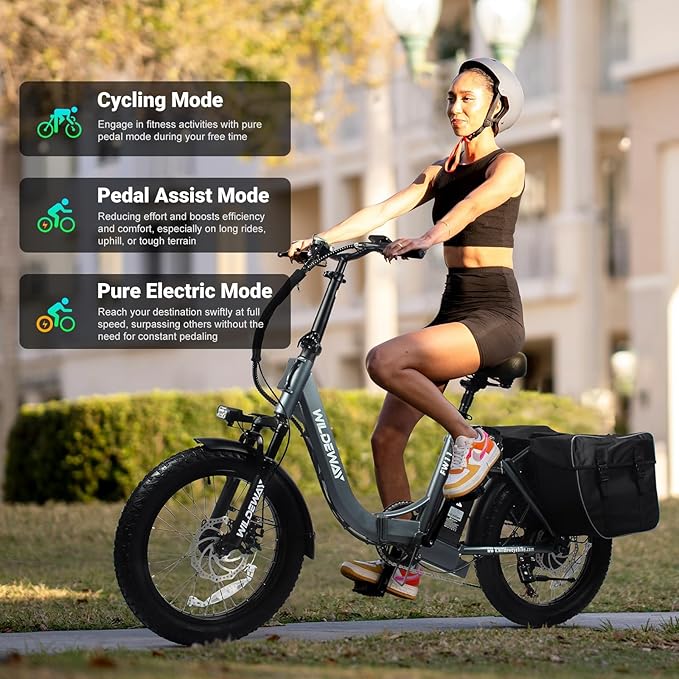 Wildeway Folding Electric Bike for Adults, FW11-Lite 750W Motor, 48V 15Ah Removable Battery, 20" x 3.0" Fat Tire E-Bike, 30MPH Top Speed, Step-Thru Frame, Foldable Ebike Commuter & Off-Road