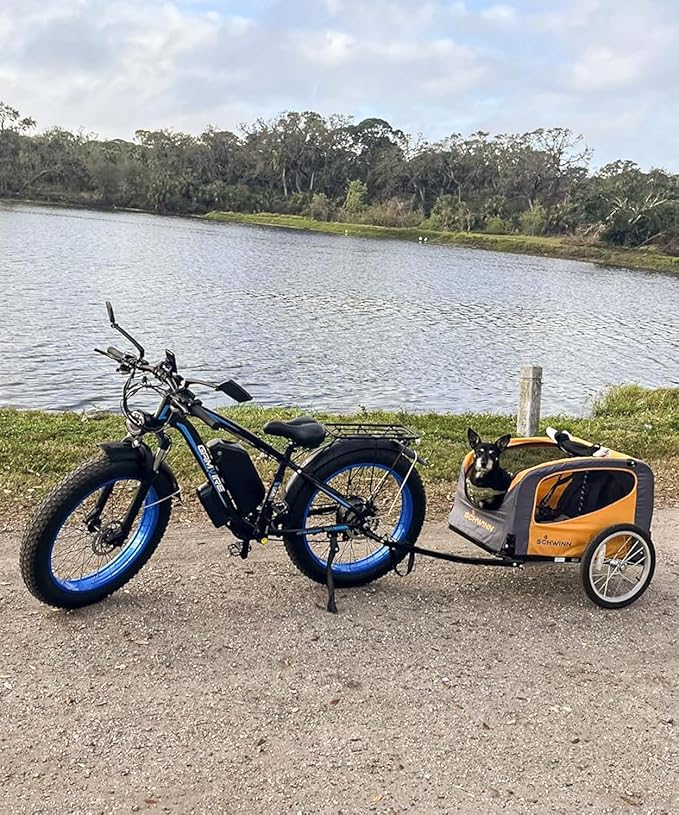 Ebike for Adults Electric, 52V 19.2Ah/32Ah, Peak 2000W/2500W E-Bike, 36/40MPH, 70 Miles/100Miles, Hydraulic Disc Brake, Off Road Snow Mountain E-Bike, 24"/26" Fat Tire Electric Bicycle UL2849 by SGS