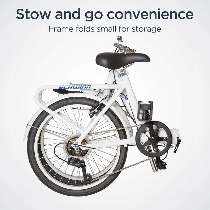 Schwinn Loop