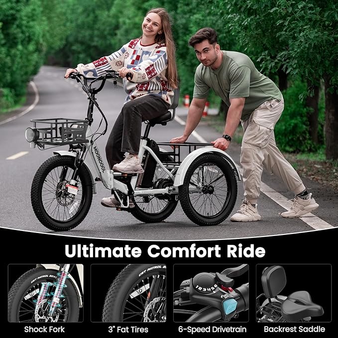 MOONCOOL Electric Trike for Adults, 500W/750W 48V Electric Tricycle for Adults Peak Power 1500W, 20"x3.0" Fat Tire 3 Wheel Electric Bike, Folding Aluminum Adult Tricycle with Removable Battery