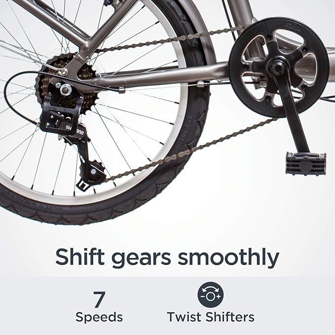 Schwinn Loop