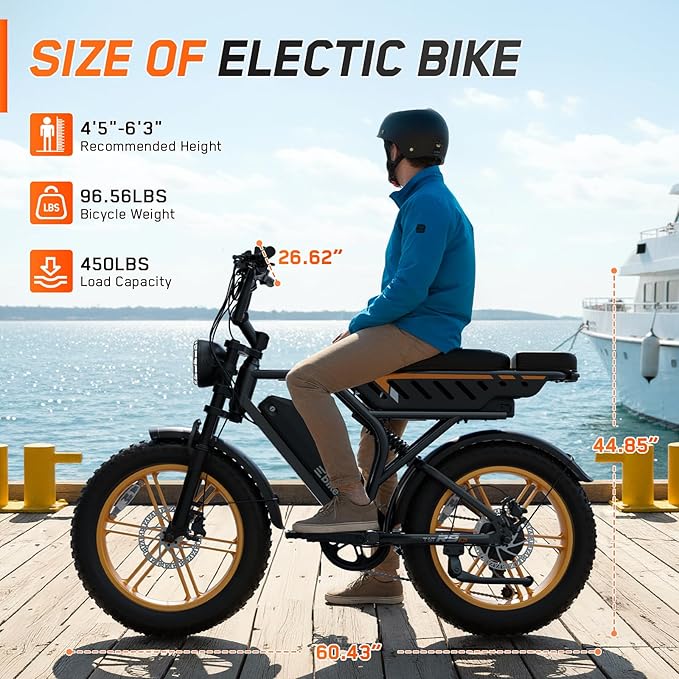 Electric Bike for Adults,1500W Peak Motor Retro E Bike,30MPH Max Speed,60/110 Miles Range,Removable 48V 15Ah Battery,20"x4.0"Fat Tire,Ebike with Suspension,UL 2849