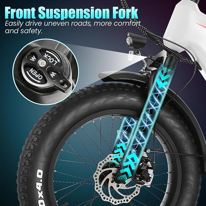 Wooken Electric Bike for Adults, Peak 1000W Motor Ebike,20"x4.0" Fat Tire Electric Bike,48V 624WH Removable Lithium-ion Battery,Up to 60 Miles,Step-Thru Electric Mountain Bike,SGS Certified to UL 2849