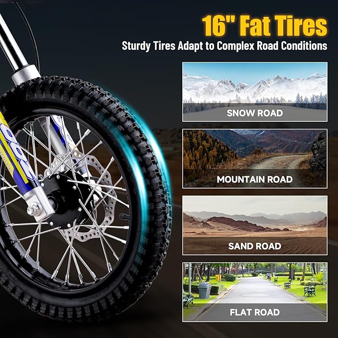 KOOZ HP112E PRO 36V 1000W Electric Dirt Bike for Kids, 3 Speed Modes Teen Electric Motorcycle Up to 20.6 MPH& 19 Miles Long-Range, Dual Suspension & Disc Brake, 16" Sturdy Tire