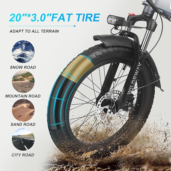 Wildeway Folding Electric Bike for Adults with 750W Motor 32Ah Battery Long Range FW11 Ebike 20 * 3.0 Fat Tire Foldable Adults Electric Bicycle for Men Women City Commuter Delivery 2 Seat