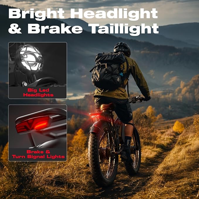 Electric Bike, 52V 25Ah 4000W Dual Motors, 24" Fat Tires Adult, 38mph Up to 110 Mile Range, Full Suspension, Hydraulic Brakes Class 3 Ebike, for Off-Road Mountain Riding Adventures