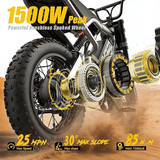 Electric Dirt Bike for Adults - Peak 1500W/3000W Electric Bikes, 48V/52V 15.6Ah/25Ah/40Ah, 50-100 Mile Range(PAS Mode), 16/20 Inch All-Terrain Fat Tire Motorcycle