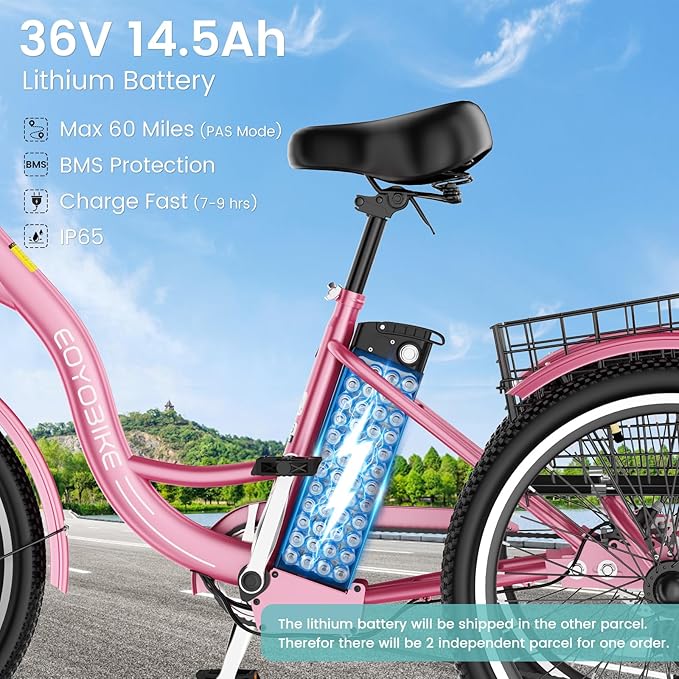 Electric Tricycle for Adults Seniors, 24/26 Inch 3 Wheel E-Trike, 350W Motor (700W Peak), Removable 36V Battery, Up to 15.5MPH, 25-60Mile Range, Low Step-Through, Rear Basket, 350lbs Capacity, 7 Speed