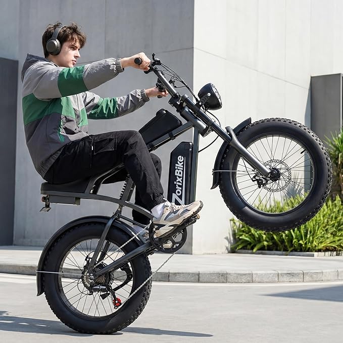 Retro Electric Bike for Adults,48V 20AH-1500/3000W Peak Motor Electric Bicycle-Max Speed 31-35MPH-Max 80 MI Range-20" x 4.0" Fat Tire Ebike,7-Speed, Dual Shock Absorber - UL 2849