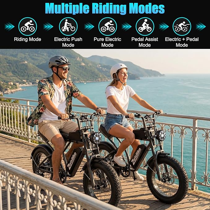 Retro Electric Bike for Adults,48V 20AH-1500/3000W Peak Motor Electric Bicycle-Max Speed 31-35MPH-Max 80 MI Range-20" x 4.0" Fat Tire Ebike,7-Speed, Dual Shock Absorber - UL 2849
