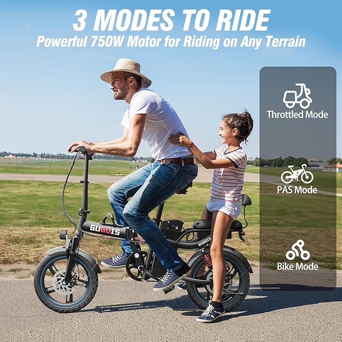 Electric Bike for Adults,750/1000W Motor E-Bike,28/30 MPH,748.8/960 Wh Removable Battery,25-45Miles,16/20in Commuter Ebikes,Full Suspension Electric Bicycles for Adults -2 Seater