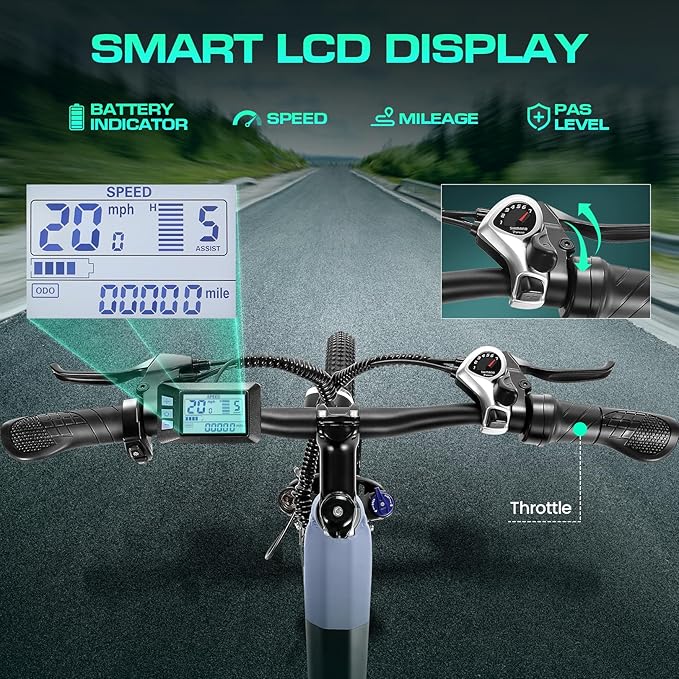 Wooken Electric Bike for Adults, 1000W Peak Ebike, 26" x 2.1" Tire Step Through Electric Bike, City Cruiser Ebike with 48V 10.4/15Ah Removable Battery, 7 Speed, SGS Certified to UL2849