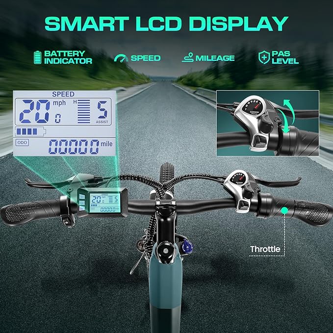 Wooken Electric Bike for Adults, 1000W Peak Ebike, 26" x 2.1" Tire Step Through Electric Bike, City Cruiser Ebike with 48V 10.4/15Ah Removable Battery, 7 Speed, SGS Certified to UL2849