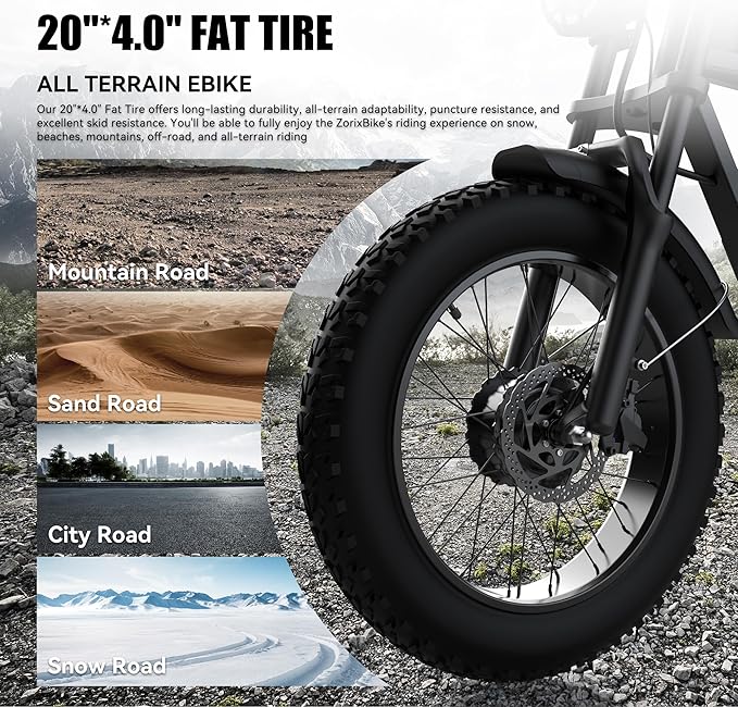 Retro Electric Bike for Adults,48V 20AH-1500/3000W Peak Motor Electric Bicycle-Max Speed 31-35MPH-Max 80 MI Range-20" x 4.0" Fat Tire Ebike,7-Speed, Dual Shock Absorber - UL 2849