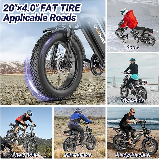 Fat Tire Electric Dirt Bike 750w for Adults 20" Full Suspension Electric Motorcycle Ebikes 48V 18AH Removable Battery,31MPH Top Speed,LED Headlights, Turn Signals,40-70 Miles Range