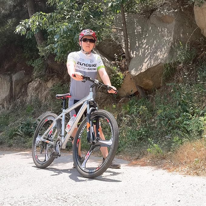 EUROBIKE 29 inch Mountain Bike,21 Speed Bikes for Men, Bicycle with Disc Brakes for Men or Women Adults