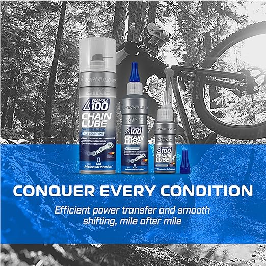 All Conditions Bike Chain Lube – All-Weather Lubricant Bicycles & Electric Bikes – Protects Against Wear, Reduces Friction, Fights Corrosion – 300ml Aerosol (10.14 oz)