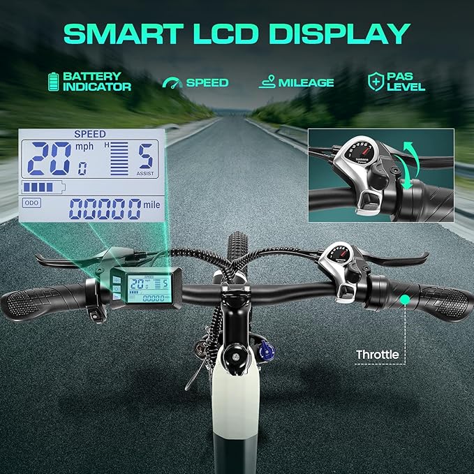 Wooken Electric Bike for Adults, 1000W Peak Ebike, 26" x 2.1" Tire Step Through Electric Bike, City Cruiser Ebike with 48V 10.4/15Ah Removable Battery, 7 Speed, SGS Certified to UL2849