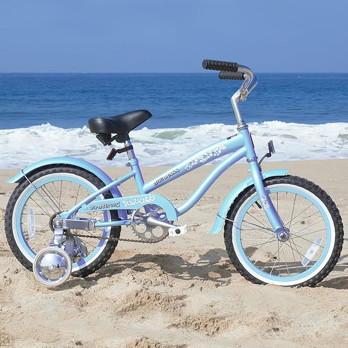 Firmstrong Girl s Bella Bicycle with Training Wheels